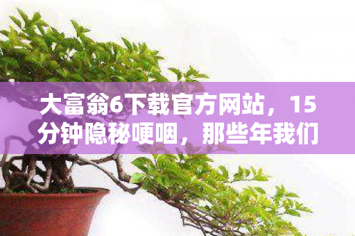 那些年我们通宵抢地皮的日子图片