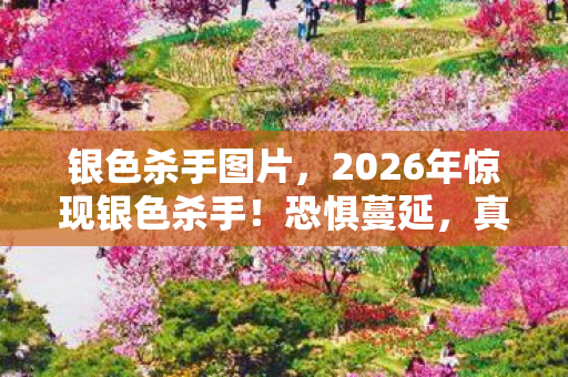 2026年惊现银色杀手图片