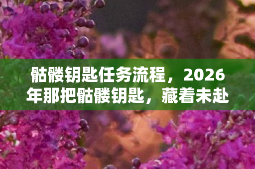 2026年那把骷髅钥匙图片