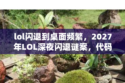 2027年LOL深夜闪退谜案图片
