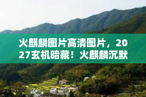 这游戏究竟给了我什么图片