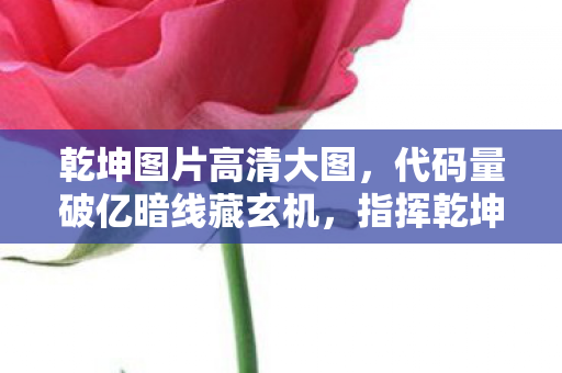 指挥乾坤图时我头皮发麻图片