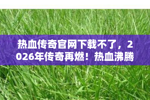 热血传奇官网下载不了图片