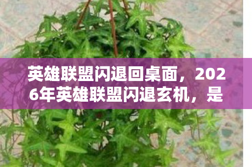 2026年英雄联盟闪退玄机图片