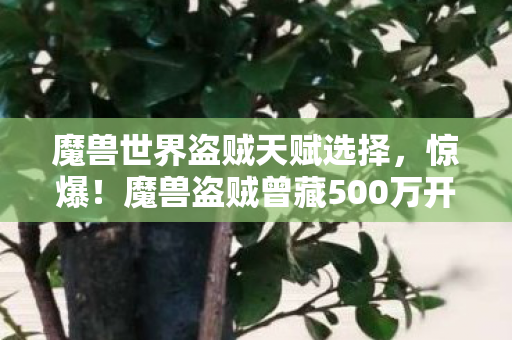 魔兽盗贼曾藏500万开发费隐情图片
