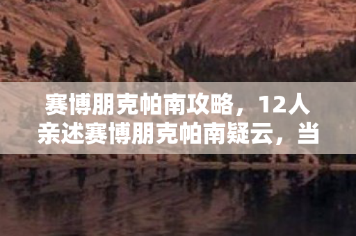 12人亲述赛博朋克帕南疑云图片