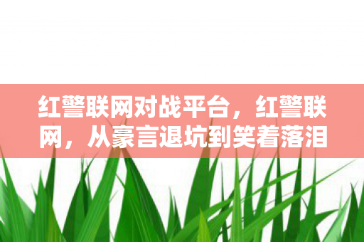 从豪言退坑到笑着落泪图片
