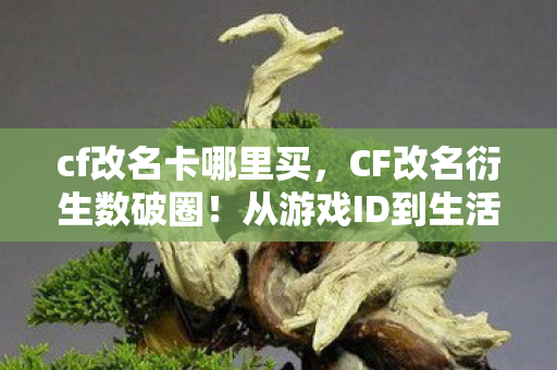 从游戏ID到生活全域的意想不到投名状图片