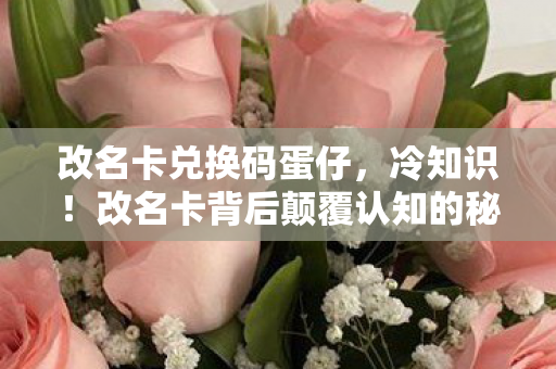改名卡背后颠覆认知的秘密图片