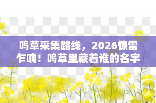 鸣草里藏着谁的名字图片