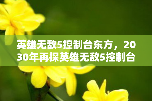 2030年再探英雄无敌5控制台图片