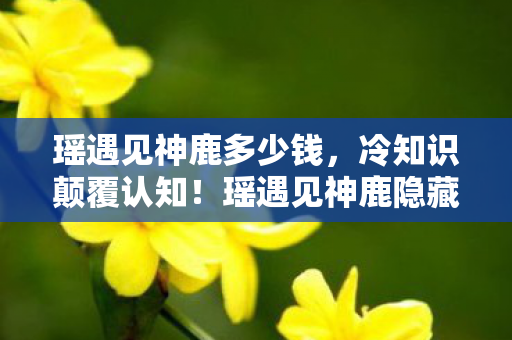 瑶遇见神鹿隐藏设定竟让十年老玩家目瞪口呆图片