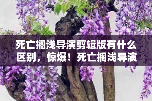 死亡搁浅导演剪辑版3000万隐情曝光图片
