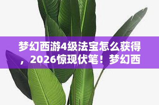 梦幻西游四级法宝勾起鼻子一酸的旧情殇图片