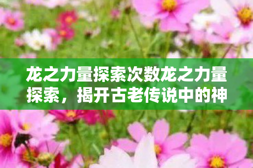 龙之力量探索次数龙之力量探索,揭开古老传说中的神秘面纱,龙之力量,探索古老传说,揭开神秘面纱 龙之力量探索次数龙之力量探索,揭开古老传说中的神秘面纱,龙之力量,探索古老传说,揭开神秘面纱