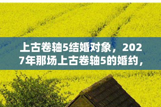 2027年那场上古卷轴5的婚约图片