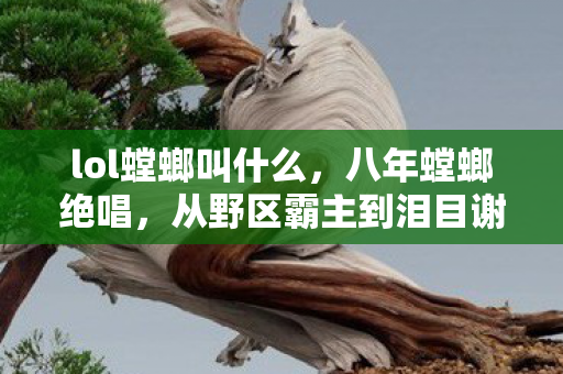 从野区霸主到泪目谢幕图片