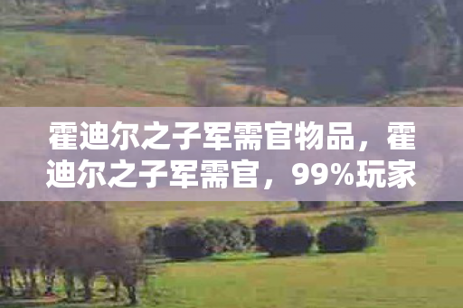 霍迪尔之子军需官物品图片
