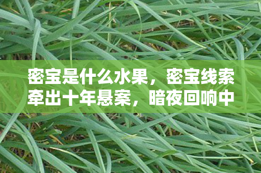 暗夜回响中毛骨悚然真相待揭图片