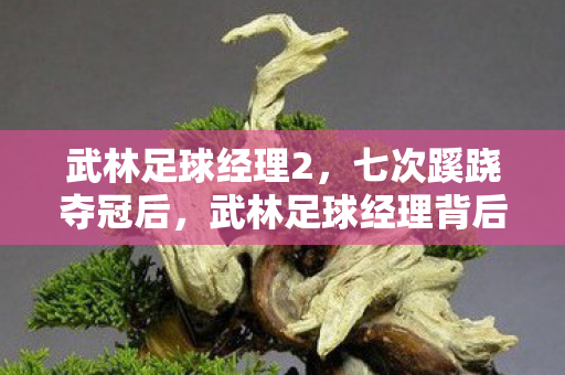 武林足球经理背后真相让我后背发凉图片