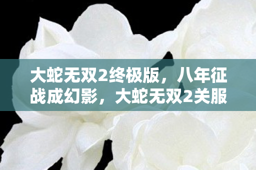 大蛇无双2关服谜局终落幕图片