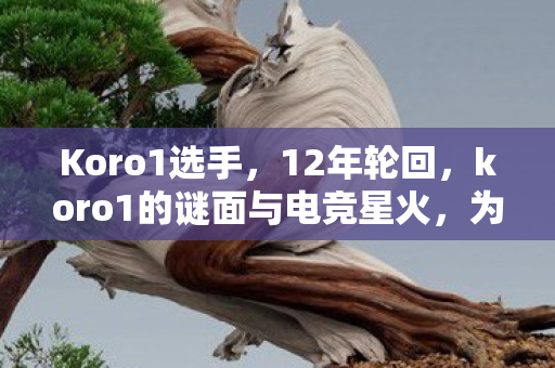 koro1的谜面与电竞星火图片