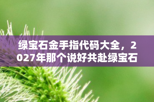 2027年那个说好共赴绿宝石的少年图片