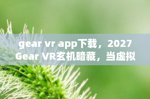 2027Gear VR玄机暗藏图片