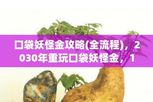2030年重玩口袋妖怪金图片