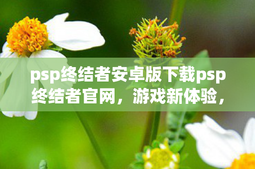 psp终结者安卓版下载psp终结者官网，游戏新体验，官方保障无忧，PSP终结者安卓版官方下载，游戏新体验，官方保障无忧