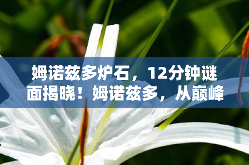 从巅峰到寂灭的泪目死亡时间线图片