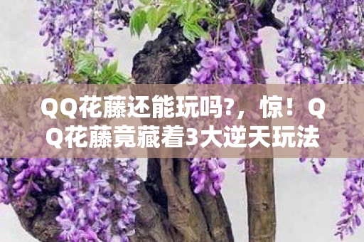 QQ花藤竟藏着3大逆天玩法图片