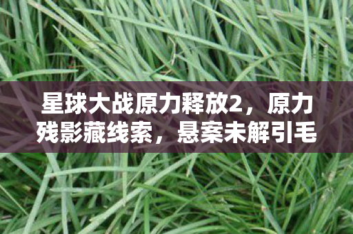 星球大战原力释放2图片