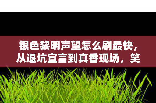 银色黎明声望怎么刷最快图片