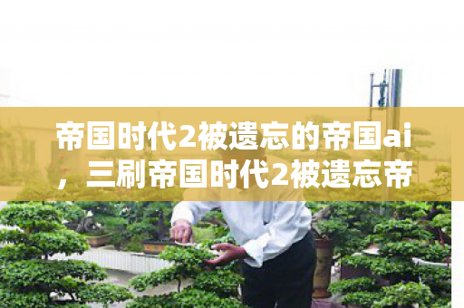 帝国时代2被遗忘的帝国ai图片