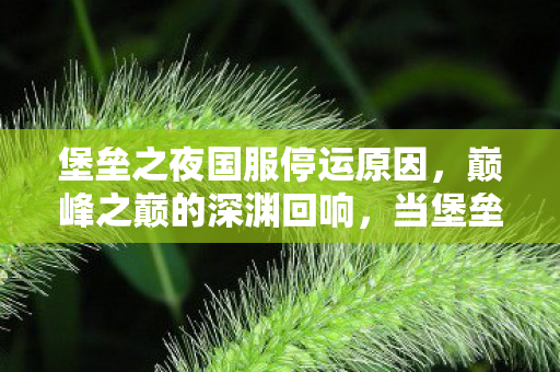 当堡垒之夜满级王者跌入现实废墟图片