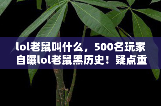500名玩家自曝lol老鼠黑历史图片