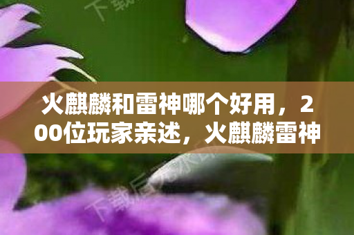 火麒麟雷神之争暗藏玄机图片