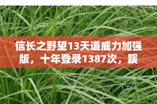 信长之野望13天道威力加强版图片