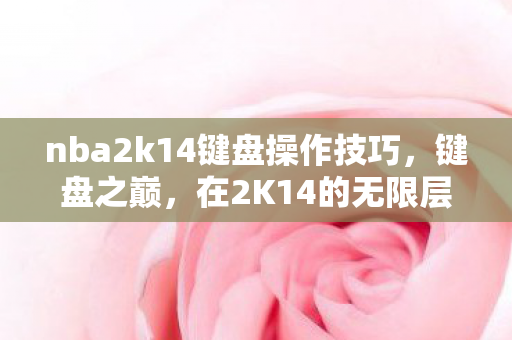 nba2k14键盘操作技巧图片