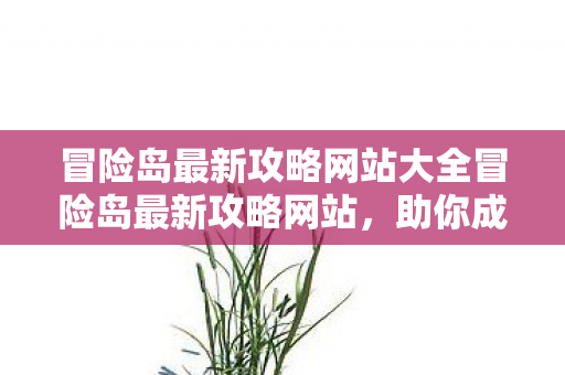 冒险岛最新攻略网站大全冒险岛最新攻略网站，助你成为顶尖玩家的必备指南，冒险岛最新攻略网站大全，助你成为顶尖玩家的必备指南
