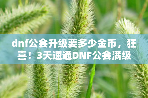 dnf公会升级要多少金币图片