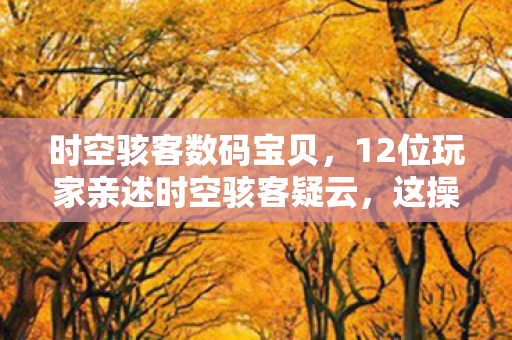 12位玩家亲述时空骇客疑云图片
