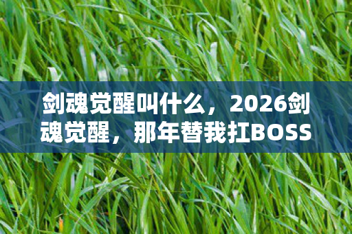 那年替我扛BOSS的人图片