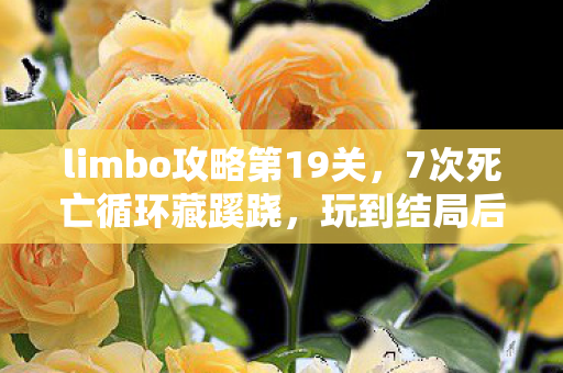 limbo攻略第19关图片