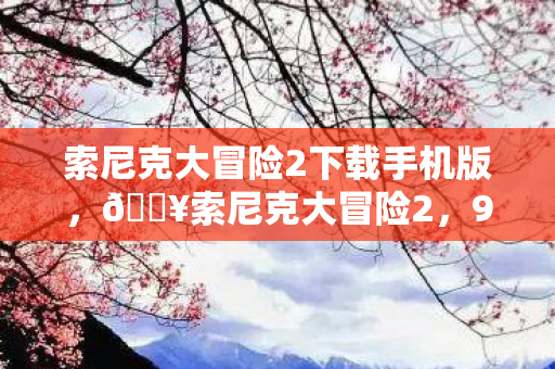 索尼克大冒险2下载手机版图片