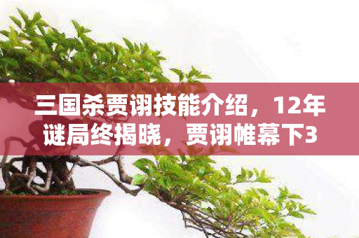 贾诩帷幕下372万玩家完杀时刻泪目图片
