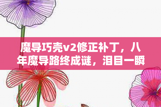 魔导巧壳v2修正补丁图片