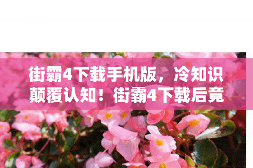 街霸4下载后竟藏着目瞪口呆的炸弹级设计图片