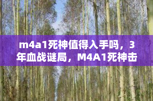 M4A1死神击杀榜首的1278个泪目瞬间图片
